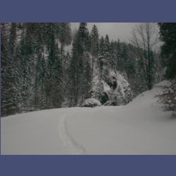 2013-02-02_Rappinschlucht_Lainlalm (054).jpg